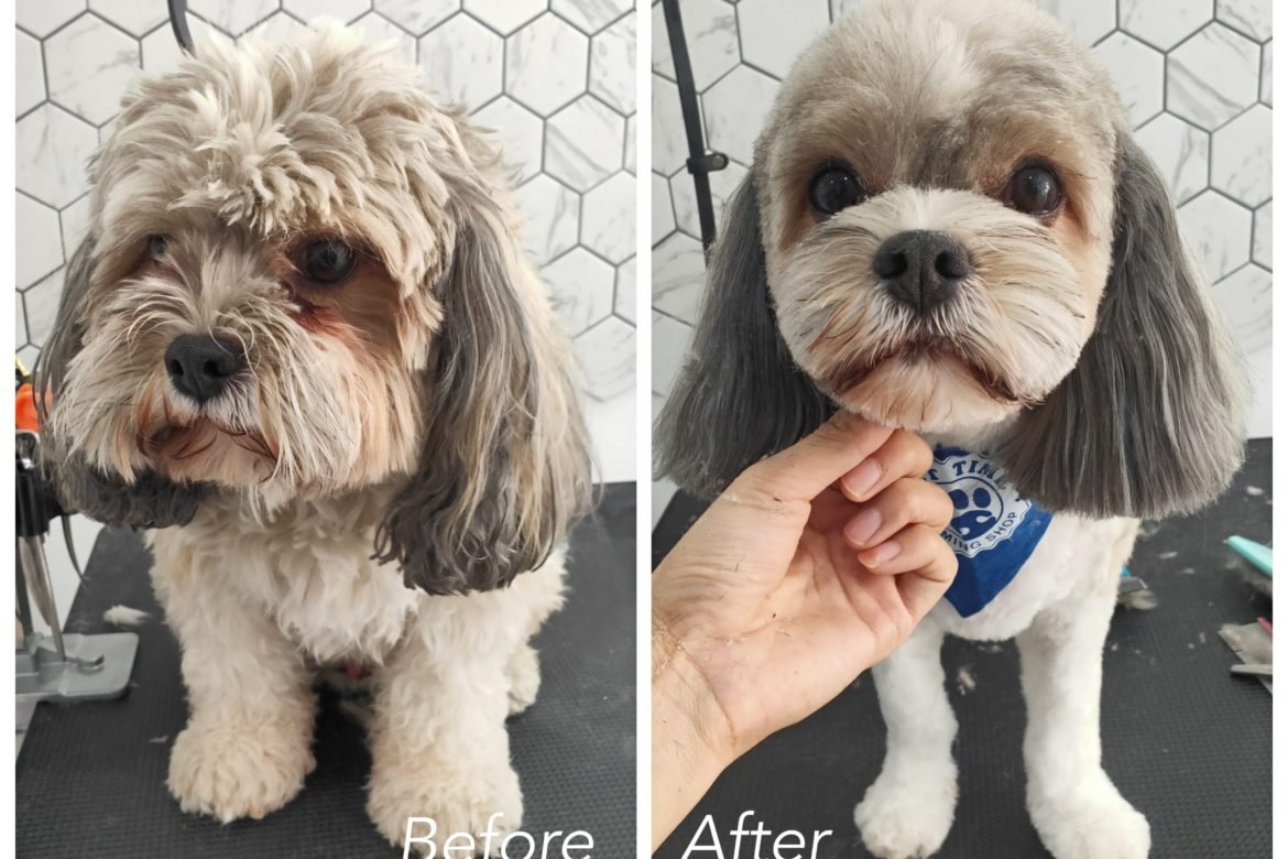 Pet grooming